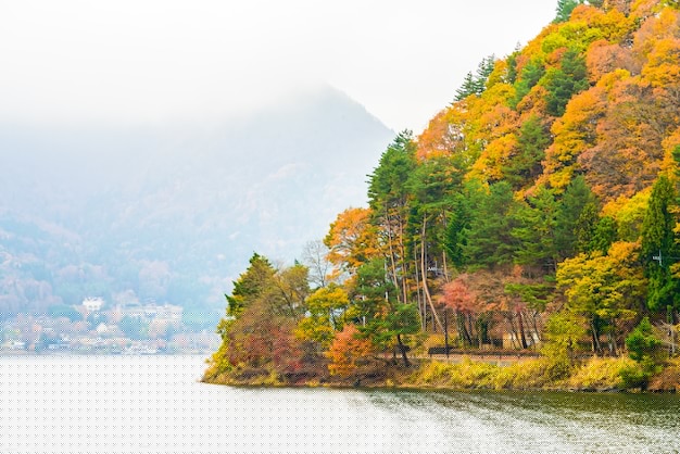 快连下载国际版+最新版安装教程超简步骤推荐 二